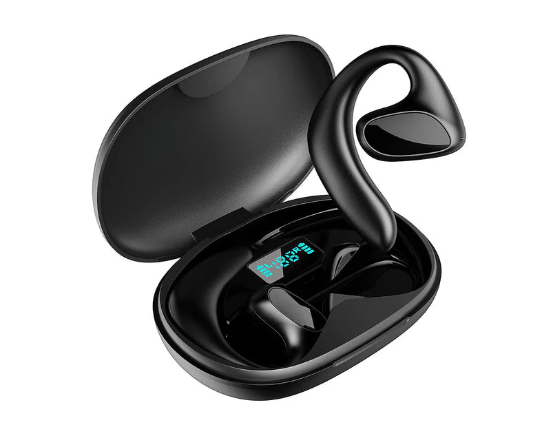 Talk Ease Translator Earbuds V2
