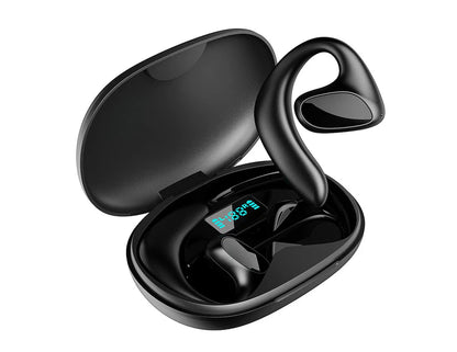 Talk Ease Translator Earbuds V2