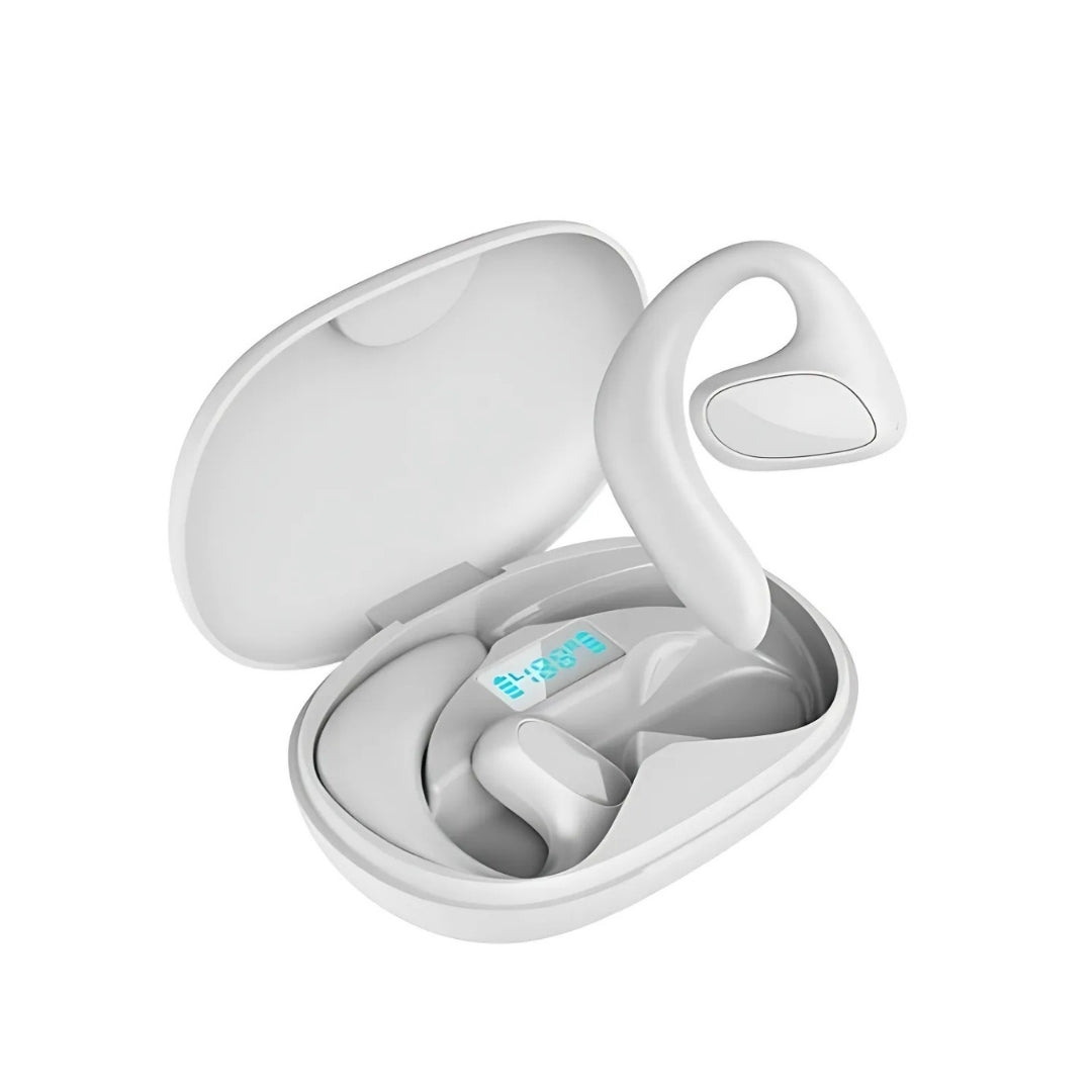 Talk Ease Translator Earbuds V2