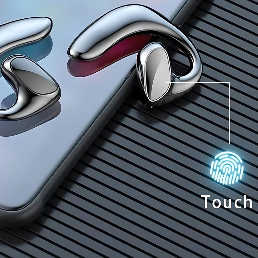 Talk Ease Translator Earbuds V2