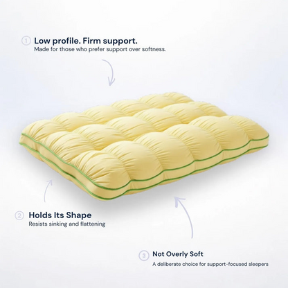 Cloud Comfort Down Alternative Pillow