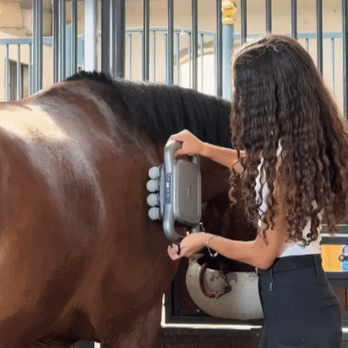 Horse 16 Heads Red Light Dual Therapy Massager