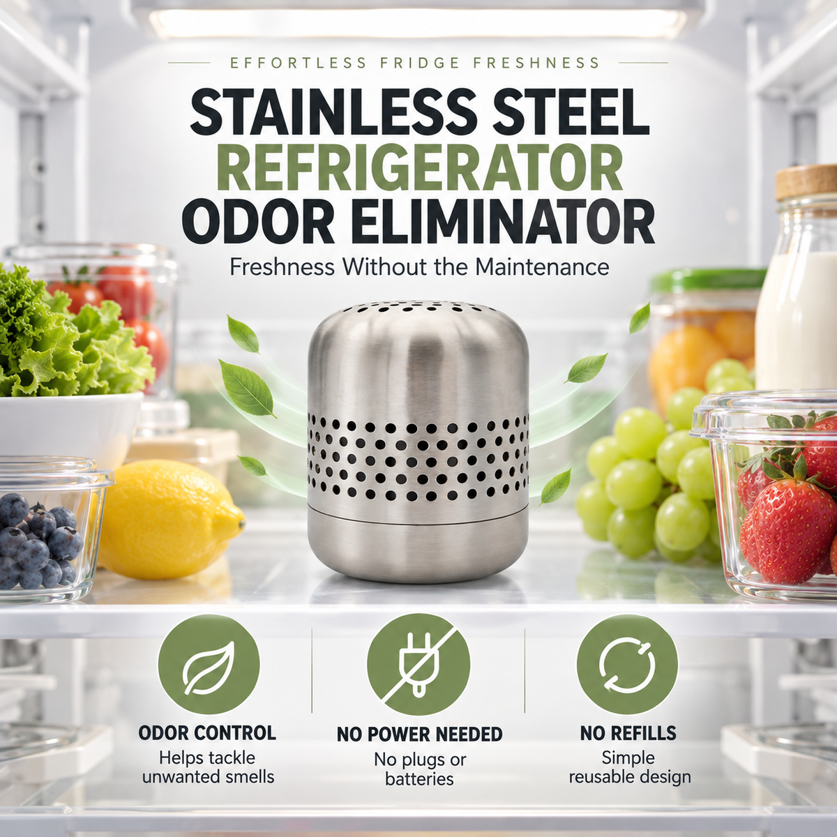 Stainless Steel Refrigerator Odor Eliminator