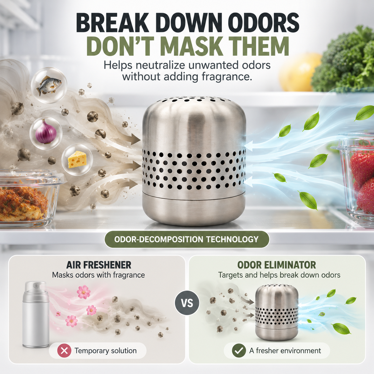 Stainless Steel Refrigerator Odor Eliminator