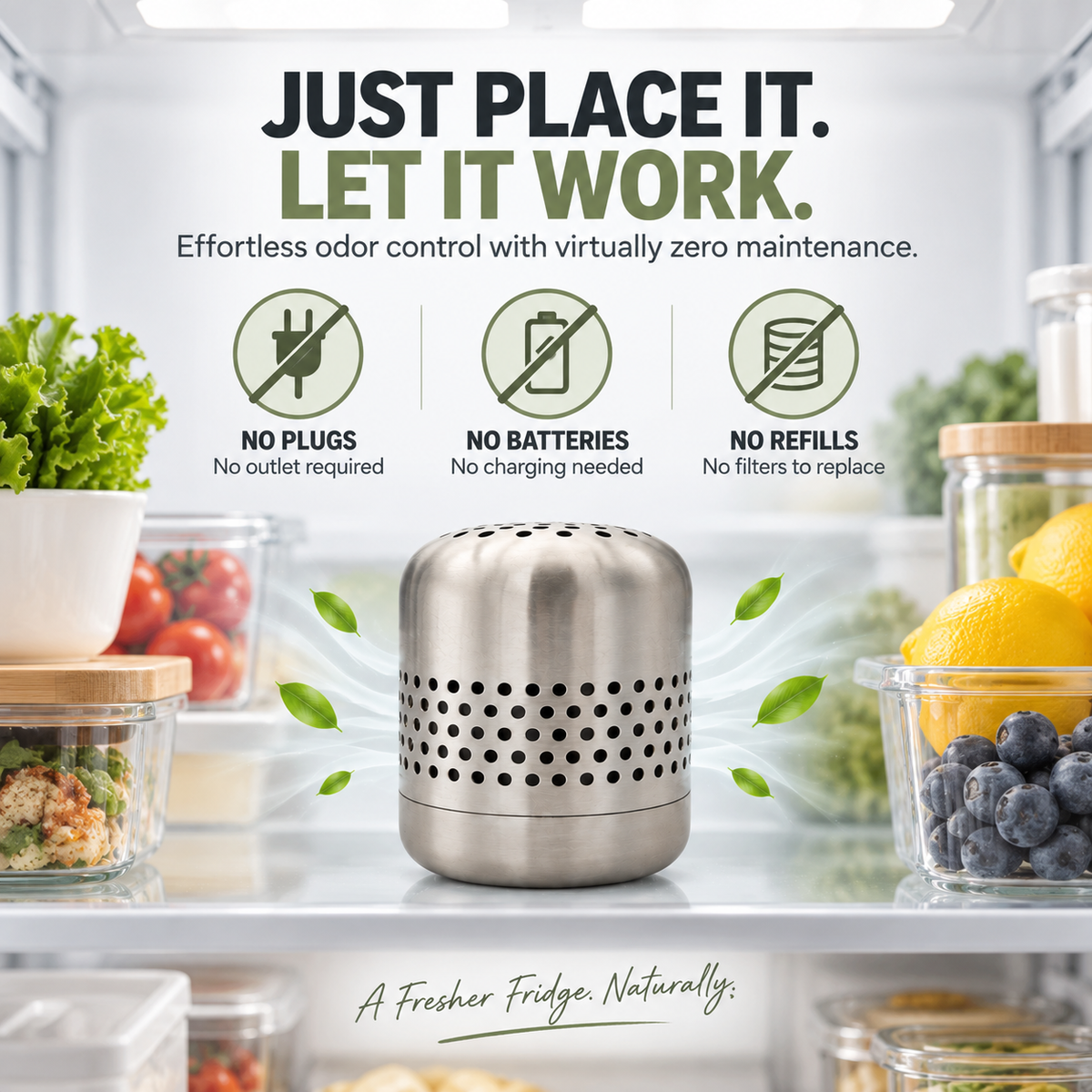 Stainless Steel Refrigerator Odor Eliminator